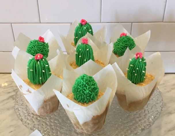 cupcake cactus Cactus Cupcake – Sweet Scape Bakery
